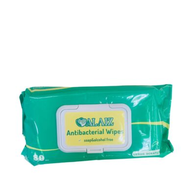 Toallitas Húmedas Antibacterial Wipes ALAIZ
